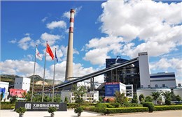 中(zhong)國大唐集(ji)團**