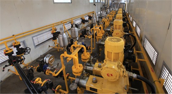 一體化注醇注(zhù)劑撬室内 一體化(huà)注醇注劑撬室内(nei)