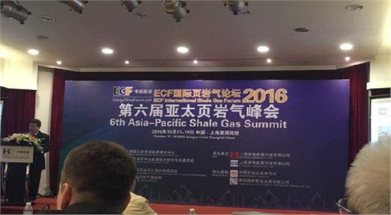 頁岩(yán)氣峰會