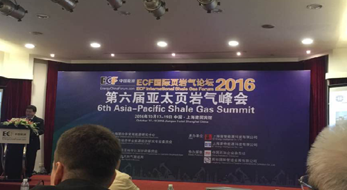 頁岩(yán)氣峰會