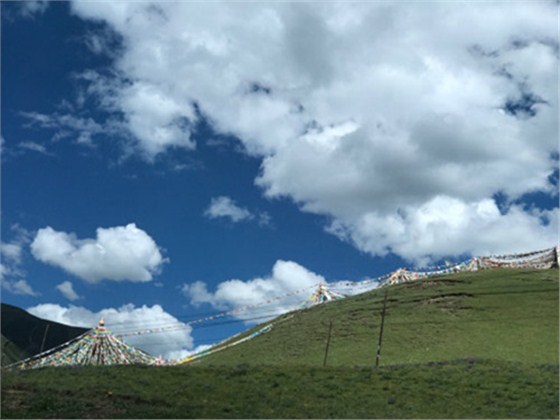 WeChatImage636407434207443823 WeChatImage636407434207443823