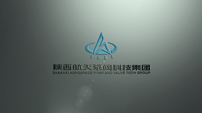 陝航泵閥(fá) (1) 陝航泵閥 (1)