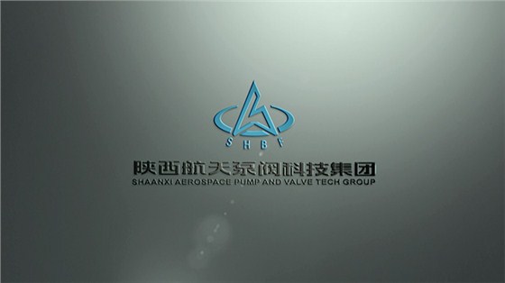 陝航(hang)泵閥 (1) 