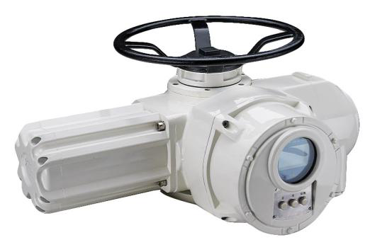 電動執行(hang)裝置