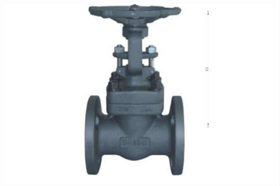 鍛(duan)鋼閘閥(fá) 鍛鋼閘(zhá)閥