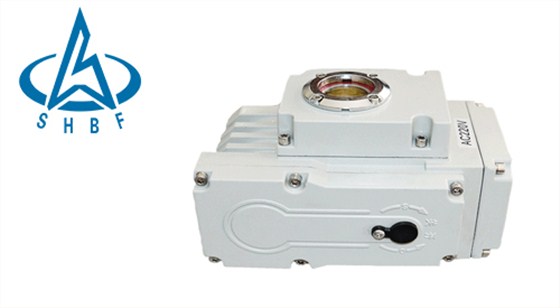 電動執行器(qi)放大圖