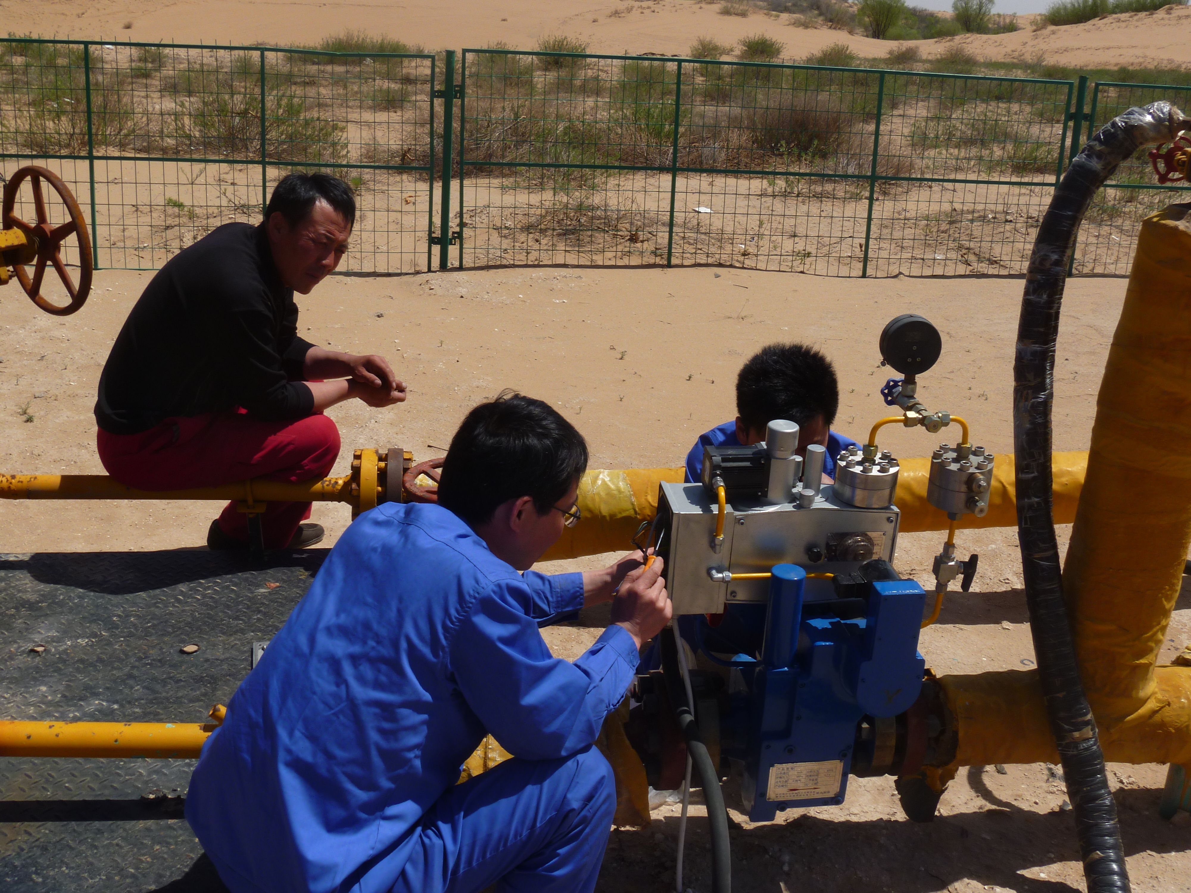 照(zhào)片 282 照片(piàn) 282