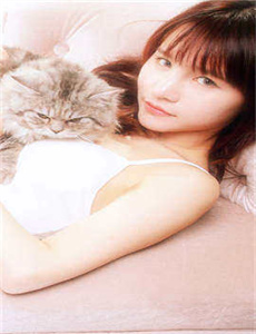 纸的城堡 (2009)